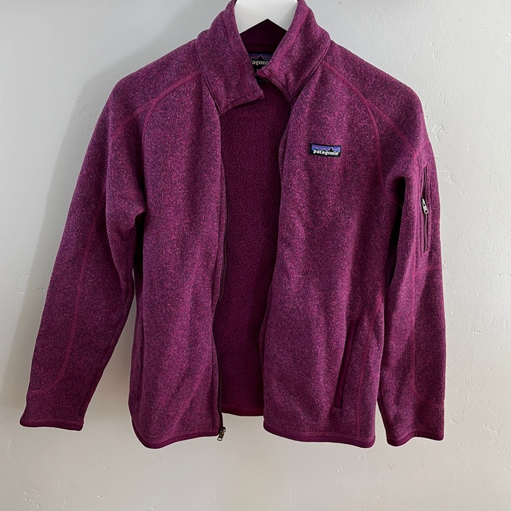 Patagonia zip sweatshirt